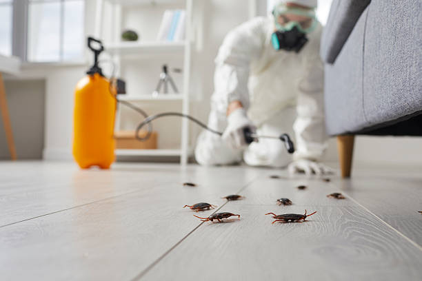 Commercial Kitchen Cockroach Control in Fox Chase